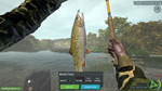 Ultimate Fishing Simulator - Taupo Lake DLC*STEAM