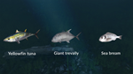 Ultimate Fishing Simulator - New Fish Species DLC