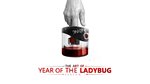 Year of the Ladybug: Season 1 - Digital Artbook DLC