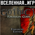 Gothic 3: Forsaken Gods Enhanced Edition (REGION FREE)