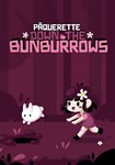 *Paquerette Down the Bunburrows(Глобал)Steam