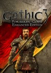 **Gothic III: Forsaken Gods Enhanced E|(Глобал)Steam