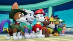 *PAW PATROL BUNDLE*XBOX ONE/X|S*КЛЮЧ*