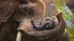 *ZOO TYCOON*XBOX ONE/X|S*КЛЮЧ*