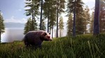 *HUNTING SIMULATOR 2 - BEAR HUNTER XBOX ONE*КЛЮЧ*