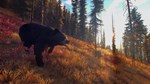 *WAY OF THE HUNTER*XBOX X|S*КЛЮЧ*