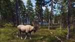 *WAY OF THE HUNTER*XBOX X|S*КЛЮЧ*