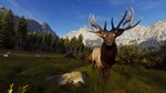 *WAY OF THE HUNTER*XBOX X|S*КЛЮЧ*