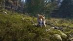 *THEHUNTER: CALL OF THE WILD - SUNDARPATAN NEPAL*XBOX