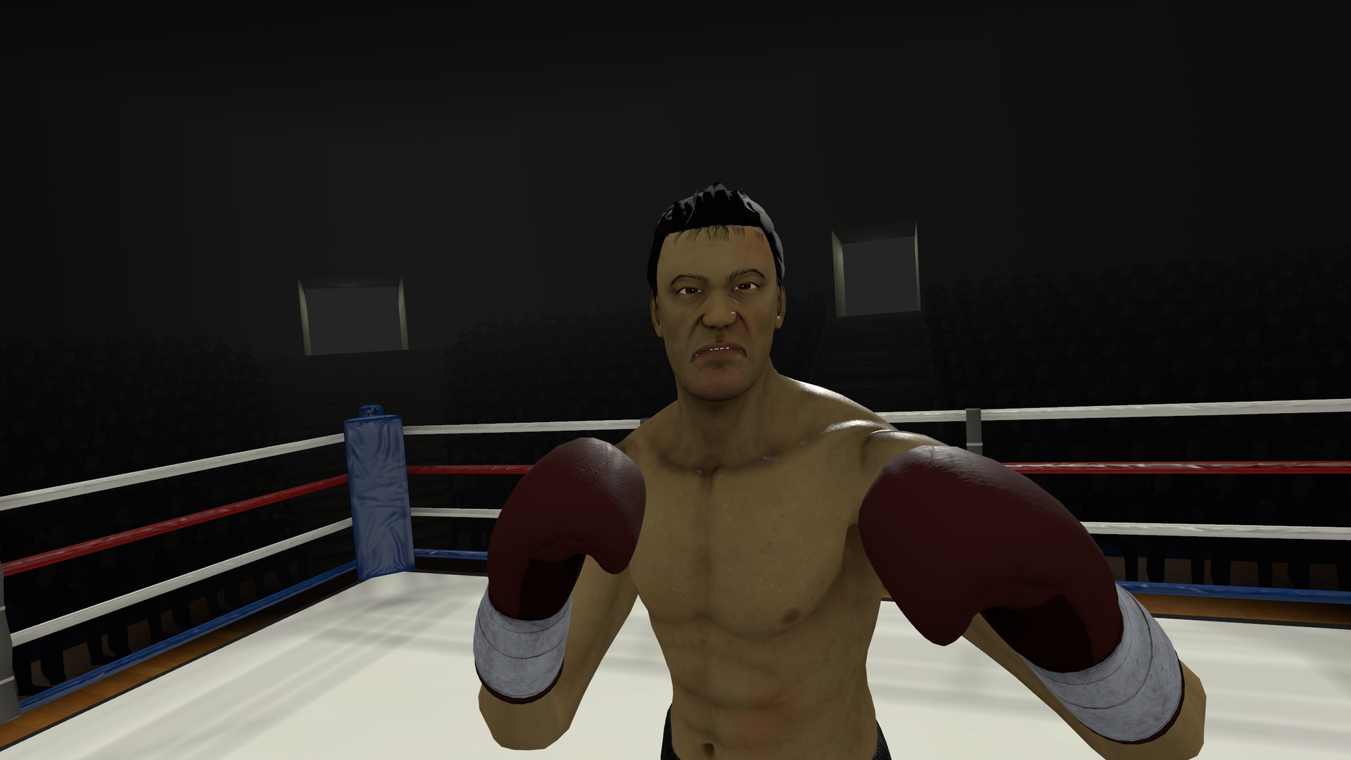 Симулятор бокса виар. Игра бокс vr. Vr бокс. Игры про бокс на пк. Игровой бокс вр.