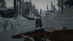 The Long Dark: Survival Edition * STEAM RU * АВТО *0%