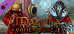 Magicka: Gamer Bundle DLC * STEAM RU * АВТО *0%