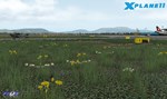 X-Plane 11 - Add-on: FSDG - Graz DLC * STEAM RU *