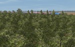 Trainz 2022 DLC - Znamensk-Svir * STEAM RU * АВТО *0%