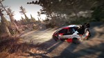 WRC 8 FIA World Rally Championship * STEAM RU *