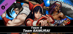 KOF XV DLC Characters "Team SAMURAI" * STEAM RU *