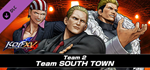 KOF XV DLC Characters "Team SOUTH TOWN" * STEAM RU *