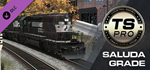 Train Simulator: Norfolk Southern Saluda Grade Route Ad