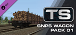 TS Marketplace: Snps Wagon Pack 01 DLC * STEAM RU *