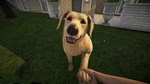 Pets Hotel * STEAM РОССИЯ * АВТОДОСТАВКА *0% КАРТЫ