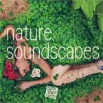 RPG Maker VX Ace - Nature Soundscapes DLC * STEAM RU *