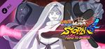 NARUTO SHIPPUDEN: UNS 4 ROAD TO BORUTO NEXT GENERATIONS