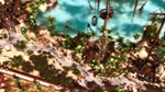 Wildlife Park 3 - Creatures of the Caribbean DLC