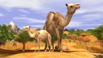 Wildlife Park 3 - Africa DLC * STEAM RU * АВТО *0%