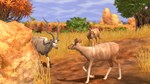 Wildlife Park 3 - Africa DLC * STEAM RU * АВТО *0%