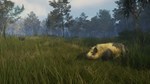 theHunter: Call of the Wild™ - Te Awaroa National Park