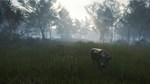 theHunter: Call of the Wild™ - Te Awaroa National Park