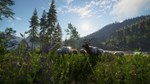 theHunter: Call of the Wild™ - Silver Ridge Peaks DLC