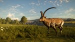 theHunter: Call of the Wild™ - Cuatro Colinas Game Rese