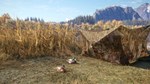 theHunter: Call of the Wild™ - Duck and Cover Pack DLC