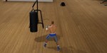 Tactic Boxing * STEAM РОССИЯ * АВТОДОСТАВКА *0% КАРТЫ