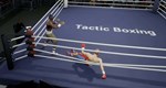 Tactic Boxing * STEAM РОССИЯ * АВТОДОСТАВКА *0% КАРТЫ