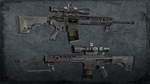 Squad Weapon Skins - Precision Strike Pack DLC