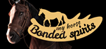 My Horse: Bonded Spirits * STEAM RU * АВТО *0%