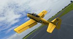 RealFlight Evolution - E-flite Carbon-Z T-28 Trojan 2.0