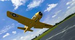 RealFlight Evolution - E-flite Carbon-Z T-28 Trojan 2.0