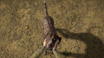 theHunter: Call of the Wild™ - German Shorthaired Point