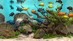 Behind Glass: Aquarium Simulator * STEAM RU *