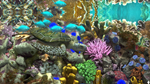 Behind Glass: Aquarium Simulator * STEAM RU *