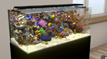 Behind Glass: Aquarium Simulator * STEAM RU *