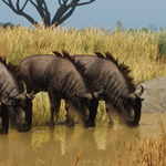 *Planet Zoo Grasslands Animal Pack*АВТО РФ/МИР