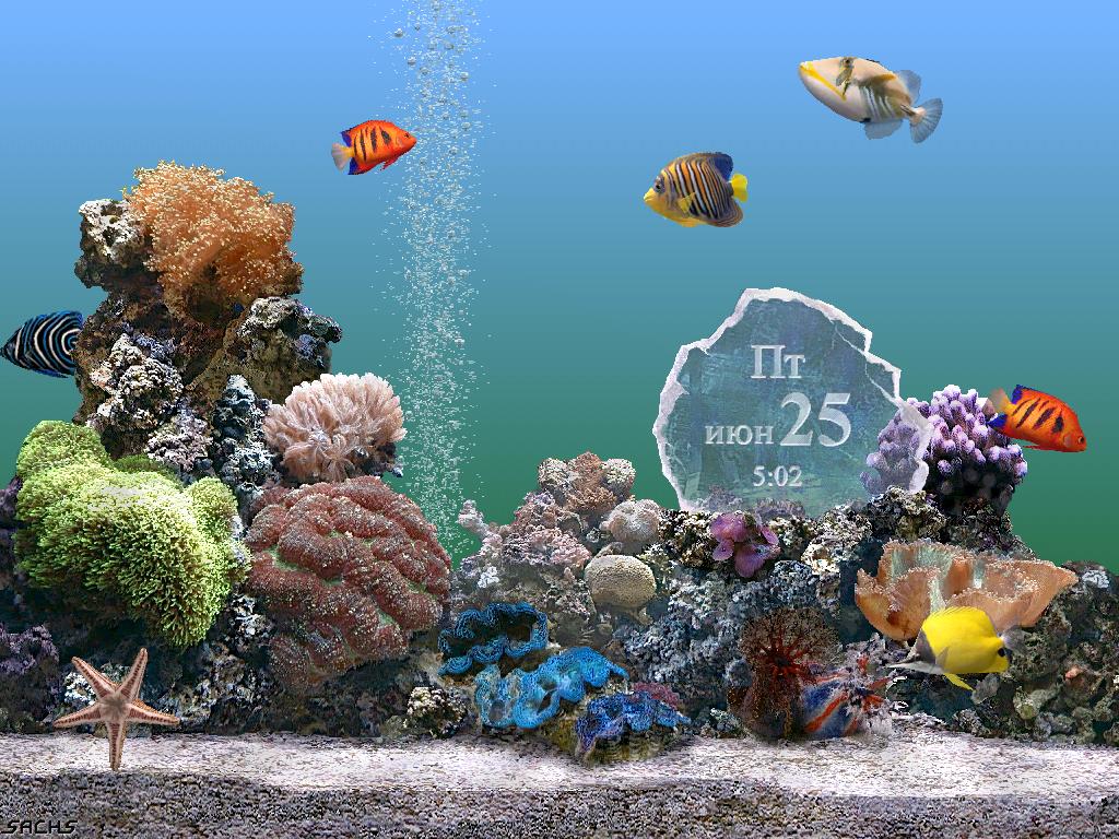 Marine Aquarium - Cоздает эффект настоящего аквариума