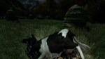 The Cows are watching КЛЮЧ* STEAM РФ+СНГ