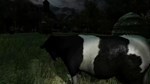 The Cows are watching КЛЮЧ* STEAM РФ+СНГ