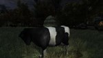 The Cows are watching КЛЮЧ* STEAM РФ+СНГ