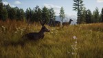 Way of the Hunter КЛЮЧ* STEAM РФ+СНГ